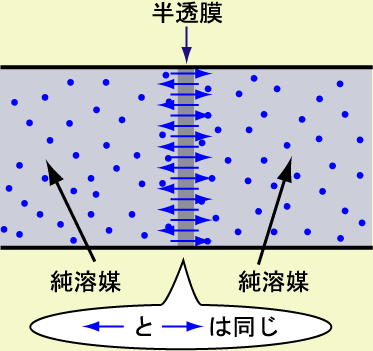 n}m𔼓ŋ؂