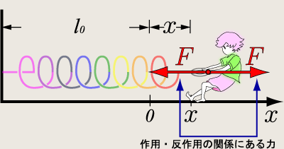 ̎茳ɓol̗